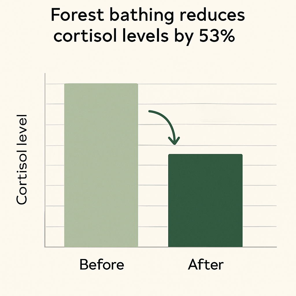 Forest bathing reduces cortisol levels by 53%